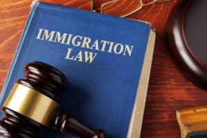 DHS Takes Aim at State DMV Laws Permitting Immigration Licensure