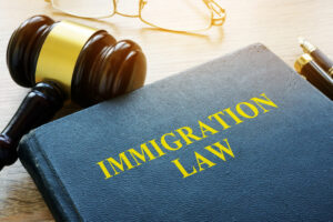 immigration law